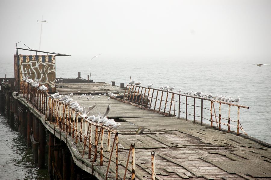 Pier mit Möwen in Odessa